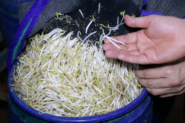 Hé lộ vụ sản xuất giá đỗ ngâm hóa chất độc hại tại Nghệ An - Ảnh 2.