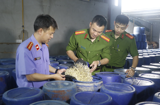 Hé lộ vụ sản xuất giá đỗ ngâm hóa chất độc hại tại Nghệ An - Ảnh 1.