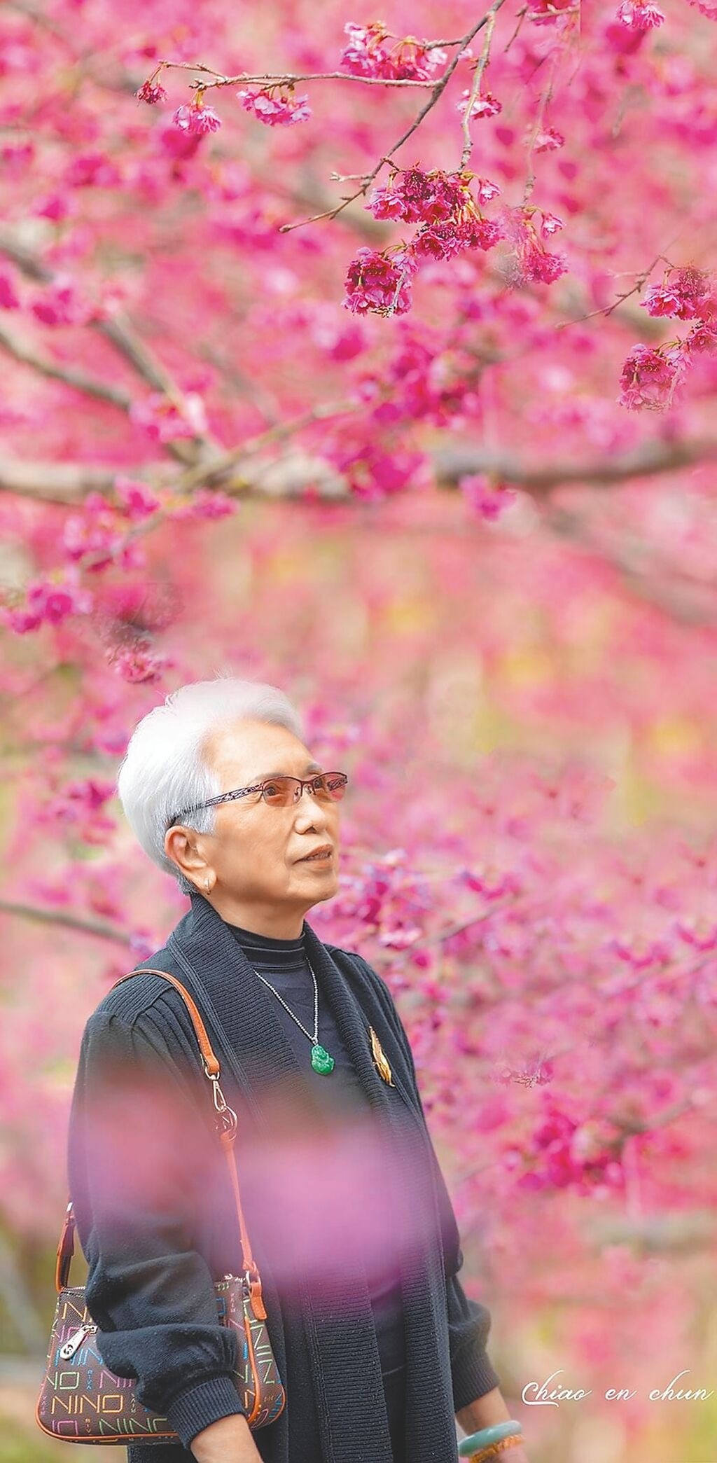 Tuổi 57 của 'Triển Chi&ecirc;u' Ti&ecirc;u &Acirc;n Tuấn - Ảnh 5.