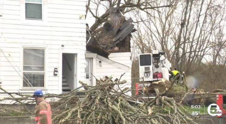 Cây đổ vào nhà, nam thanh niên 21 tuổi tử vong khi đang ngủ- Ảnh 1.