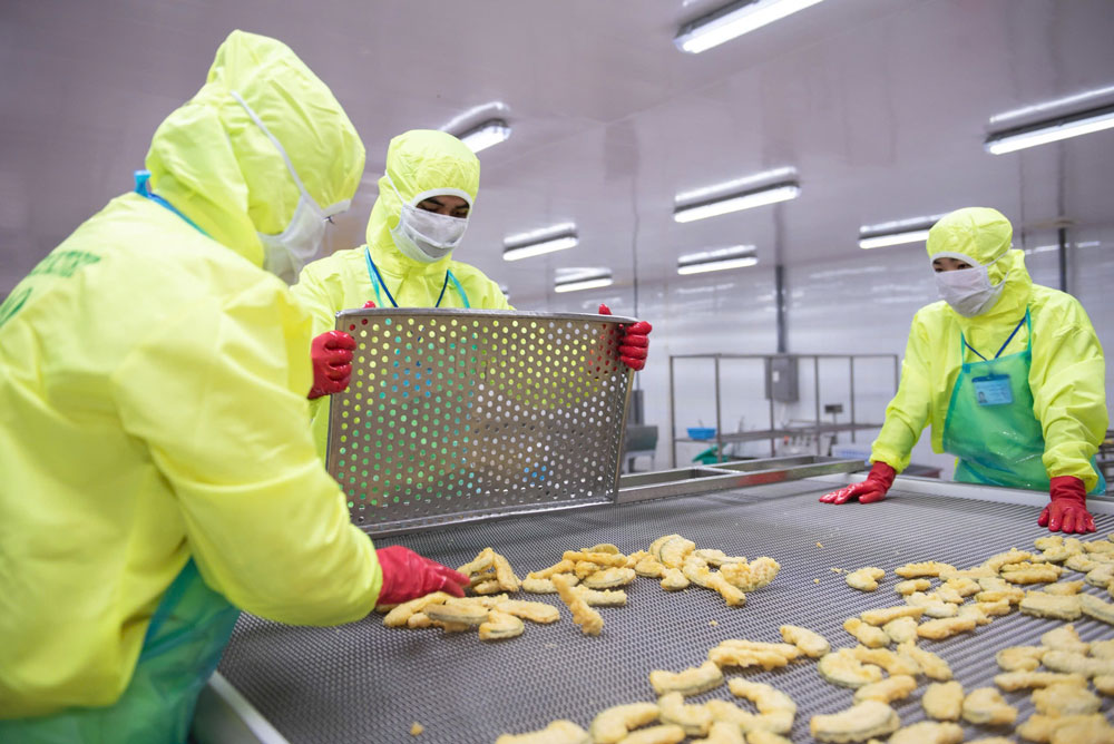 Xuất khẩu vượt "h&agrave;ng r&agrave;o xanh" - Ảnh 1.