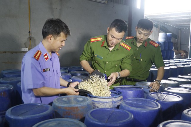 Vụ 3 . 500 Tấn giá đỗ ngậm chất cấm gây hoang mang người tiêu dùng tại Nghệ An - Ảnh 1.