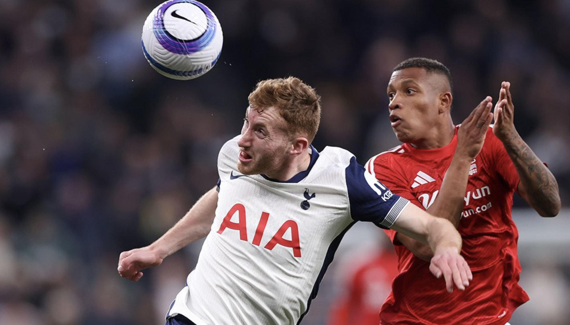 Trắng tay sân nhà, Tottenham may mắn trụ hạng - Ảnh 1.