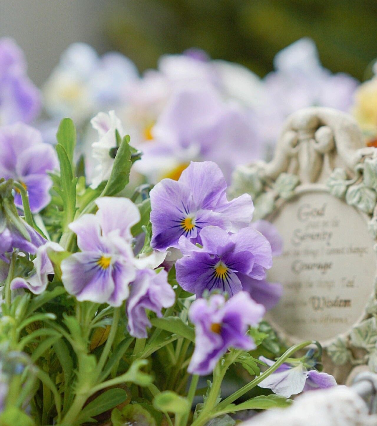 Chỉ vỏn vẹn 20m2 nhưng khu vườn sân thượng của đôi vợ chồng này như 1 "xứ sở thần tiên" thu nhỏ! - Ảnh 17.