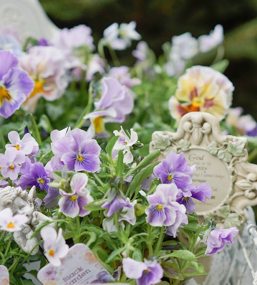 Chỉ vỏn vẹn 20m2 nhưng khu vườn sân thượng của đôi vợ chồng này như 1 "xứ sở thần tiên" thu nhỏ! - Ảnh 15.