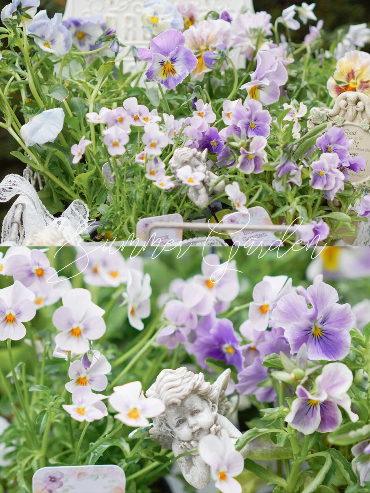 Chỉ vỏn vẹn 20m2 nhưng khu vườn sân thượng của đôi vợ chồng này như 1 "xứ sở thần tiên" thu nhỏ! - Ảnh 16.