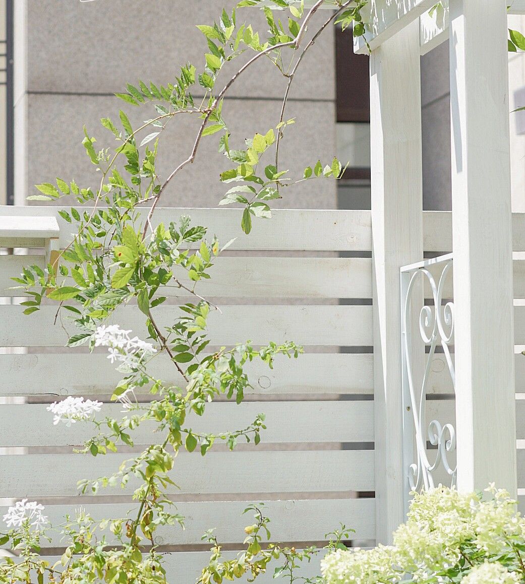 Chỉ vỏn vẹn 20m2 nhưng khu vườn sân thượng của đôi vợ chồng này như 1 "xứ sở thần tiên" thu nhỏ! - Ảnh 8.