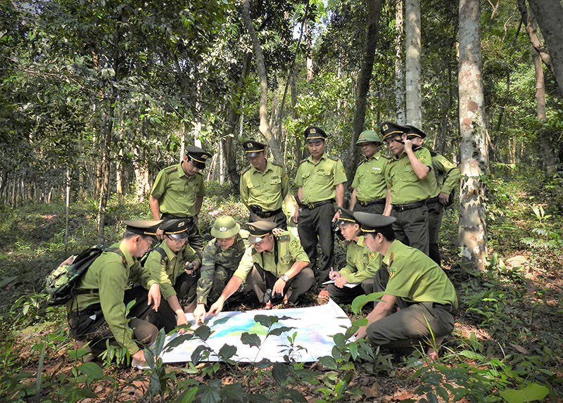 Th&agrave;nh lập Trung t&acirc;m Bảo vệ rừng v&agrave; Di sản thế giới Phong Nha - Kẻ B&agrave;ng- Ảnh 1.