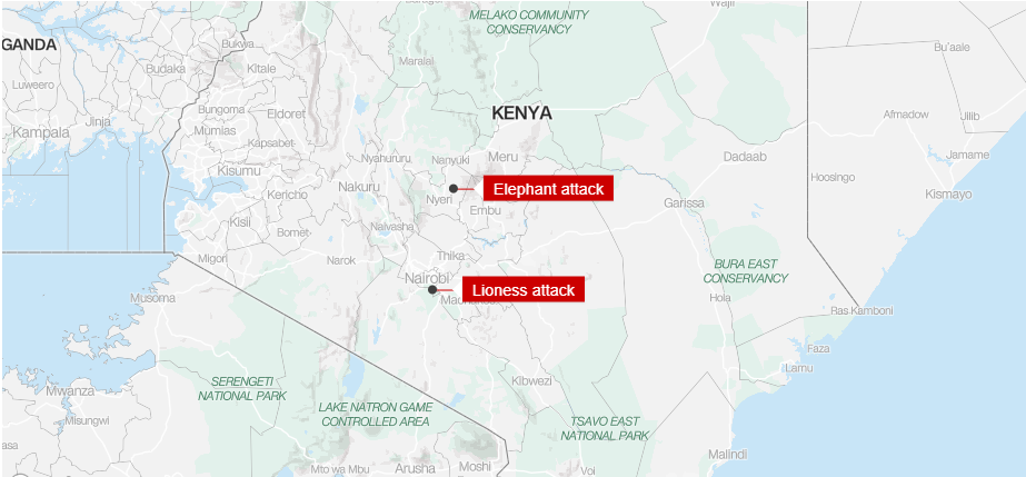 Sư tử cái xổng vào khu dân cư và vồ chết bé gái 14 tuổi - Ảnh 1. Sư tử cái xổng vào khu dân cư và vồ chết bé gái 14 tuổi - Ảnh 1.