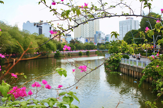 TP HCM XÂY DỰNG SIÊU ĐÔ THỊ XANH (*): Tạo không gian sống lý tưởng - Ảnh 3.