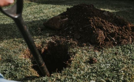 Người đ&agrave;n &ocirc;ng ch&ocirc;n tờ v&eacute; số độc đắc 26 tỷ đồng trong vườn để giữ an to&agrave;n - Ảnh 1.