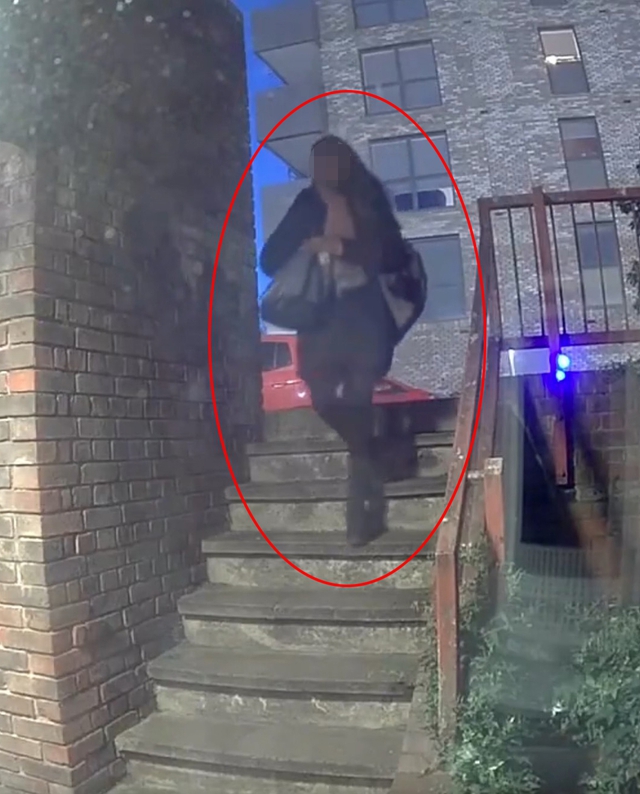 Camera ghi lại khoảnh khắc r&ugrave;ng m&igrave;nh: Người phụ nữ bị kẻ lạ vung dao tấn c&ocirc;ng trong t&iacute;ch tắc ngay trước cửa nh&agrave;- Ảnh 1.