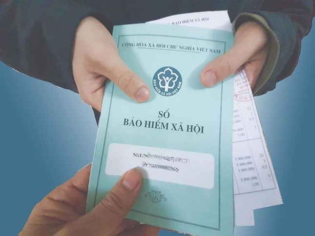 - Ảnh 1.