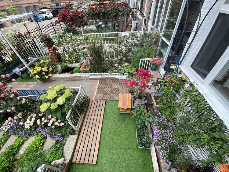 Từ bãi đất trống thành "thiên đường": Cô gái bỏ phố về biển, cải tạo 50m² sân vườn, ai đi ngang cũng phải ngoái nhìn - Ảnh 15.