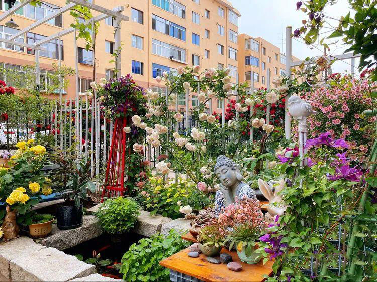 Từ bãi đất trống thành "thiên đường": Cô gái bỏ phố về biển, cải tạo 50m² sân vườn, ai đi ngang cũng phải ngoái nhìn - Ảnh 16.