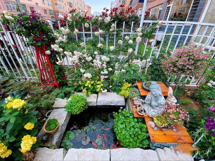 Từ bãi đất trống thành "thiên đường": Cô gái bỏ phố về biển, cải tạo 50m² sân vườn, ai đi ngang cũng phải ngoái nhìn - Ảnh 14.