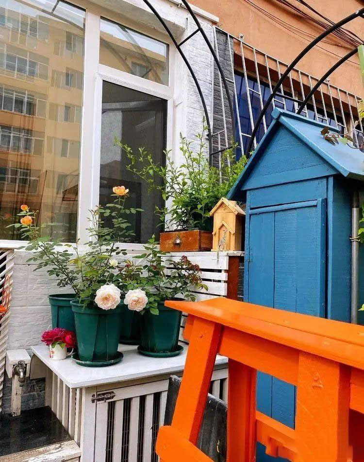 Từ bãi đất trống thành "thiên đường": Cô gái bỏ phố về biển, cải tạo 50m² sân vườn, ai đi ngang cũng phải ngoái nhìn - Ảnh 10.