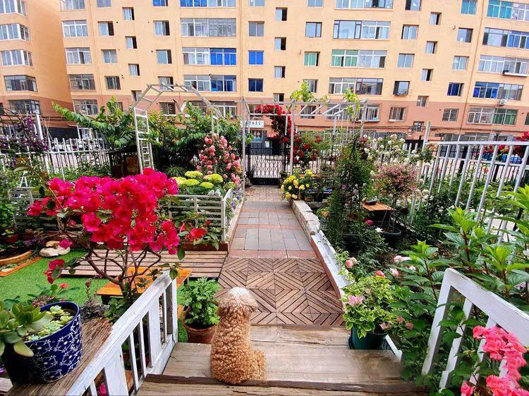 Từ bãi đất trống thành "thiên đường": Cô gái bỏ phố về biển, cải tạo 50m² sân vườn, ai đi ngang cũng phải ngoái nhìn - Ảnh 12.