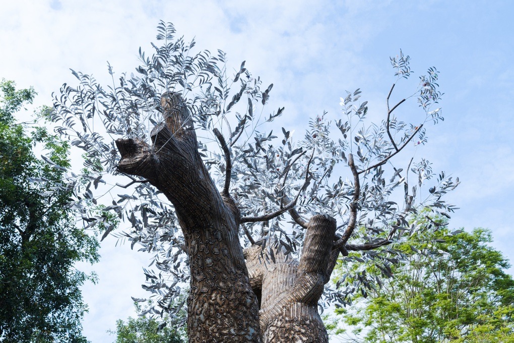 Tri ân thiên nhiên bằng tác phẩm nghệ thuật cây xà cừ “hồi sinh”- Ảnh 4.