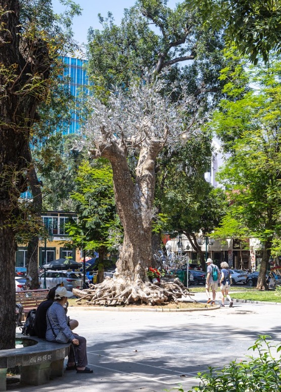 Tri ân thiên nhiên bằng tác phẩm nghệ thuật cây xà cừ “hồi sinh”- Ảnh 5.