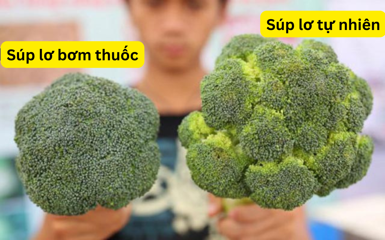 Chọn súp lơ ngon, bổ không khó: Nhìn mắt thường cũng biết loại là bị bơm thuốc độc hại- Ảnh 2. Chọn súp lơ ngon, bổ không khó: Nhìn mắt thường cũng biết loại là bị bơm thuốc độc hại- Ảnh 2.