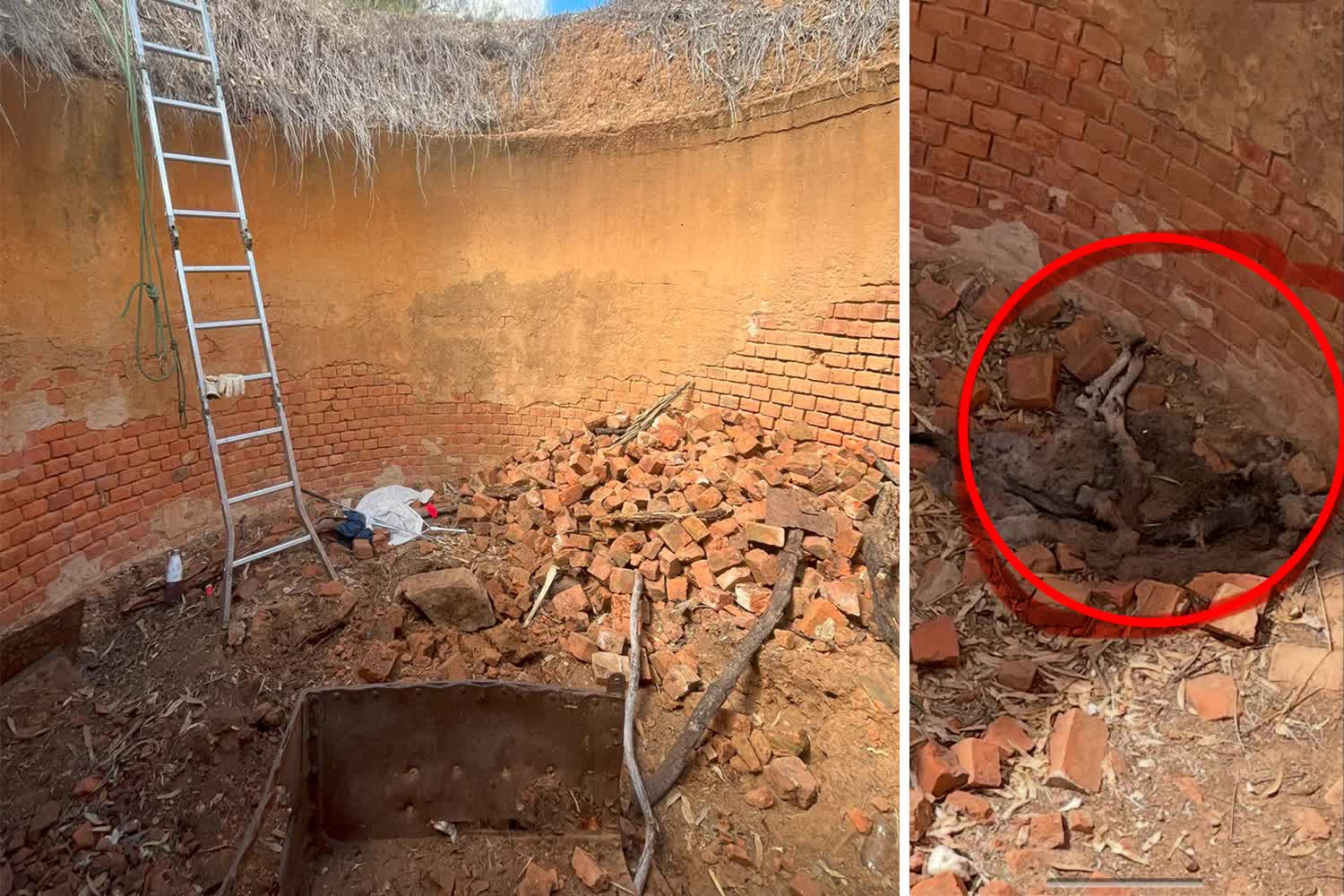 Đang đi bộ, người dân có phát hiện rùng rợn chưa từng thấy dưới giếng sâu- Ảnh 2.