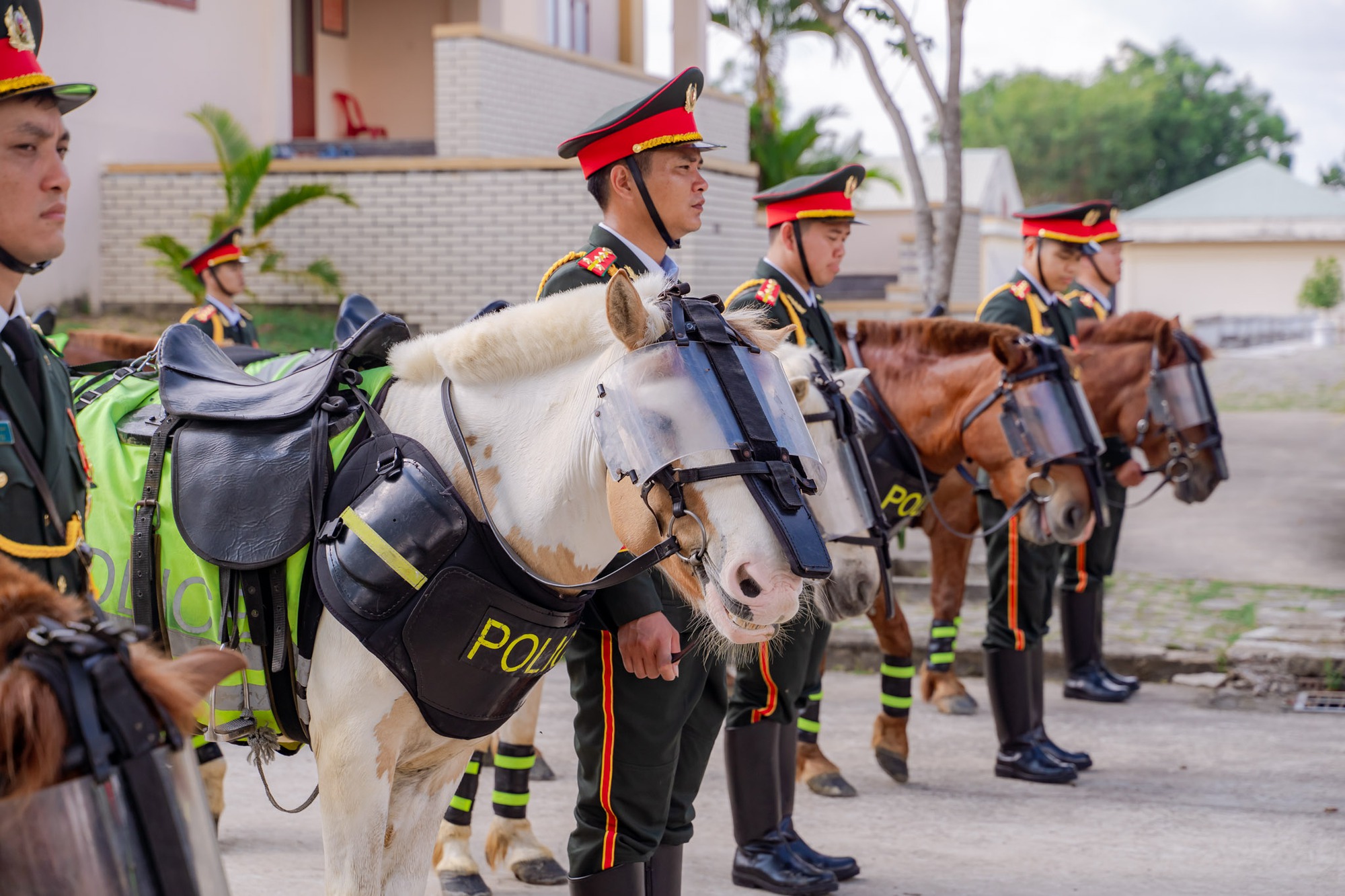 VIDEO: C&acirc;u chuyện về những ch&agrave;ng kỵ binh v&agrave; &ldquo;idol giới trẻ&rdquo; &Uacute;t Ng&aacute;o trước giờ diễu binh, diễu h&agrave;nh - Ảnh 3.