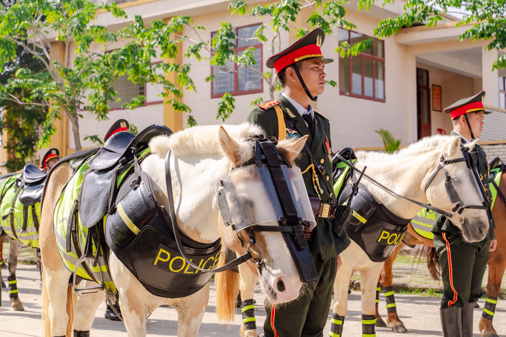 VIDEO: C&acirc;u chuyện về những ch&agrave;ng kỵ binh v&agrave; &ldquo;idol giới trẻ&rdquo; &Uacute;t Ng&aacute;o trước giờ diễu binh, diễu h&agrave;nh - Ảnh 12.