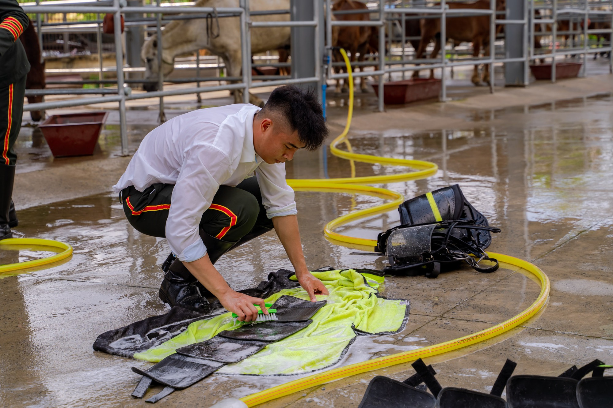 VIDEO: C&acirc;u chuyện về những ch&agrave;ng kỵ binh v&agrave; &ldquo;idol giới trẻ&rdquo; &Uacute;t Ng&aacute;o trước giờ diễu binh, diễu h&agrave;nh - Ảnh 8.