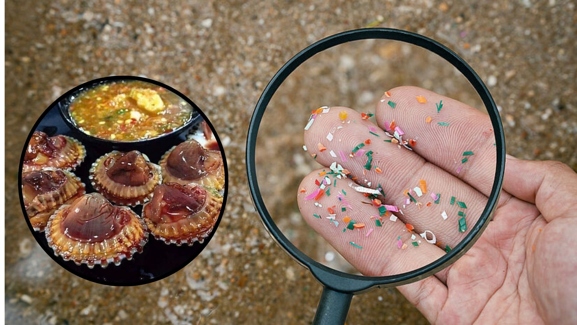 Loại gia vị kích thích vị giác nhưng ẩn chứa nhiều vi nhựa 'vô hình': Người Việt ăn gấp đôi khuyến cáo - Ảnh 2.