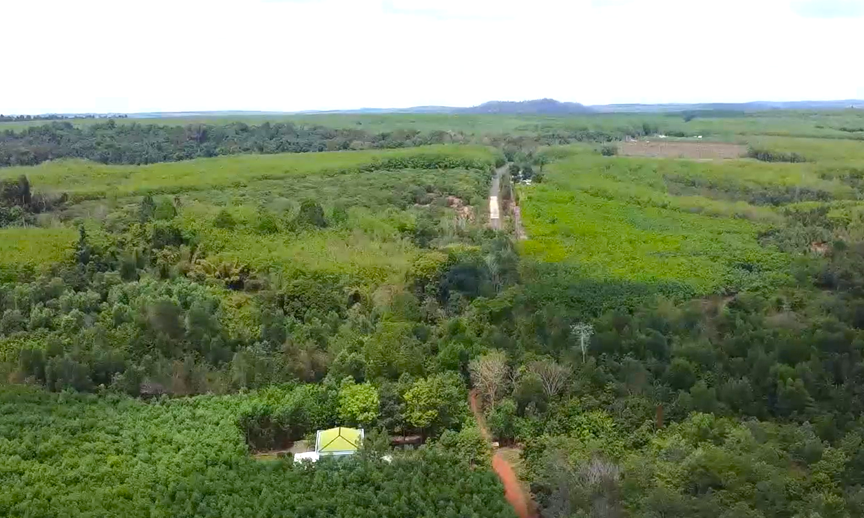 Kế hoạch đầu tư cầu Mã Đà kết nối Bình Phước và Đồng Nai cần thiết cho phát triển - Ảnh 11.