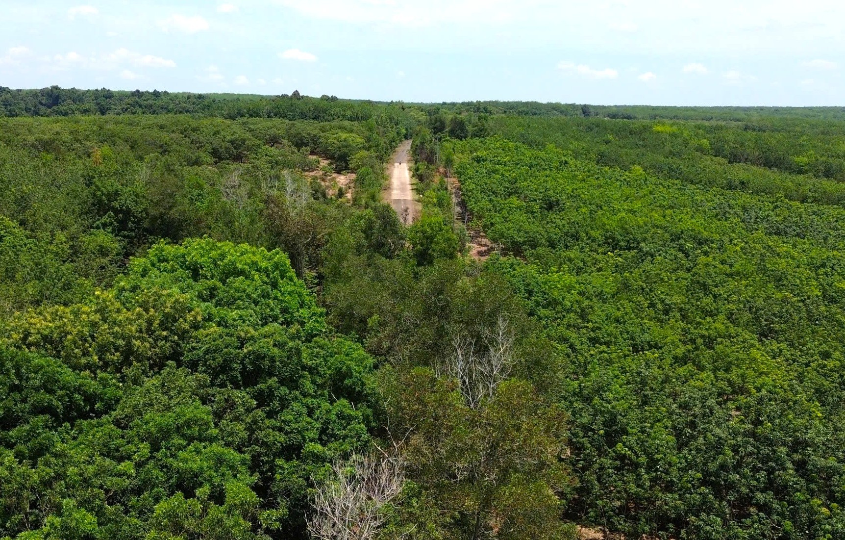 Kế hoạch đầu tư cầu Mã Đà kết nối Bình Phước và Đồng Nai cần thiết cho phát triển - Ảnh 13.