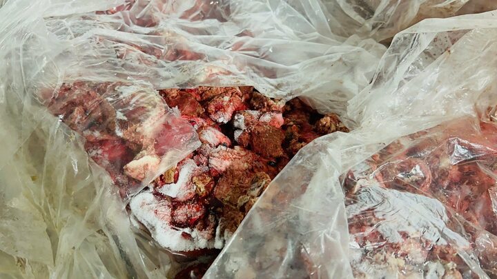 Công an Hà Nội phát hiện 10 tấn nội tạng hôi thối chuẩn bị đưa vào nhà hàng - Ảnh 5.