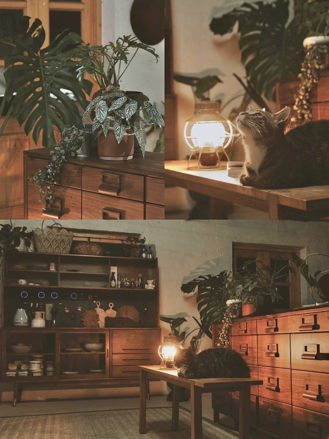 Rời xa th&agrave;nh phố, cặp đ&ocirc;i chọn thu&ecirc; đảo hoang 20.000m&sup2; để sống an nh&agrave;n &ldquo;dưỡng gi&agrave;&rdquo;: Ai cũng mơ ước nhưng kh&ocirc;ng phải ai cũng đủ dũng cảm để thực hiện!- Ảnh 5.