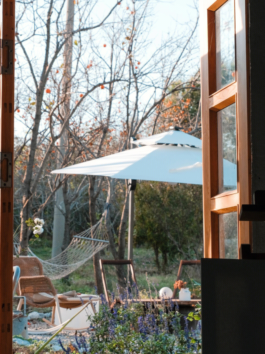 Rời xa th&agrave;nh phố, cặp đ&ocirc;i chọn thu&ecirc; đảo hoang 20.000m&sup2; để sống an nh&agrave;n &ldquo;dưỡng gi&agrave;&rdquo;: Ai cũng mơ ước nhưng kh&ocirc;ng phải ai cũng đủ dũng cảm để thực hiện!- Ảnh 6.