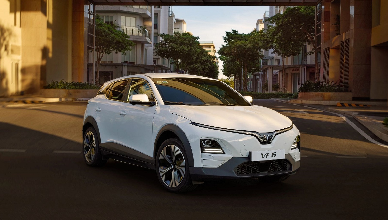 Đại gia mì chính, bột ngọt lớn nhất Đông Nam Á than 'khốc liệt' dù thị trường Việt Nam đem về hơn 4.000 tỷ doanh thu, vượt trội so với Nhật Bản, Trung Quốc, Mỹ - Ảnh 3.