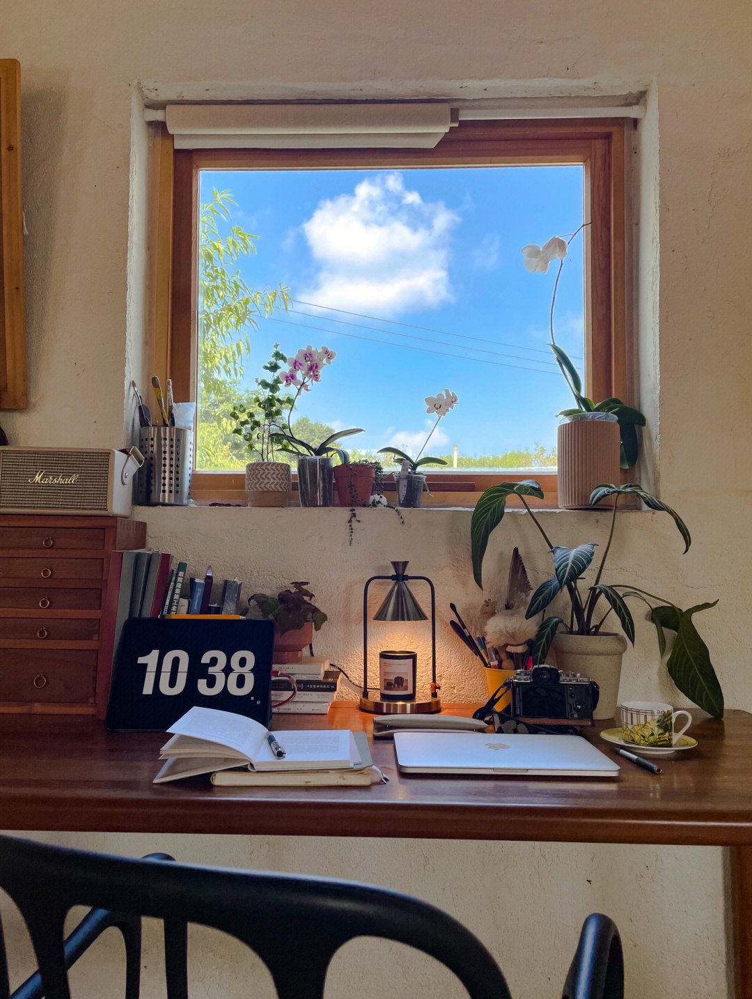 Rời xa th&agrave;nh phố, cặp đ&ocirc;i chọn thu&ecirc; đảo hoang 20.000m&sup2; để sống an nh&agrave;n &ldquo;dưỡng gi&agrave;&rdquo;: Ai cũng mơ ước nhưng kh&ocirc;ng phải ai cũng đủ dũng cảm để thực hiện!- Ảnh 18.