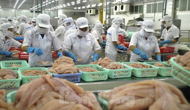 Điều quan trọng nhất với doanh nghiệp Việt Nam trước việc Mỹ &aacute;p thuế 46% - Ảnh 3.