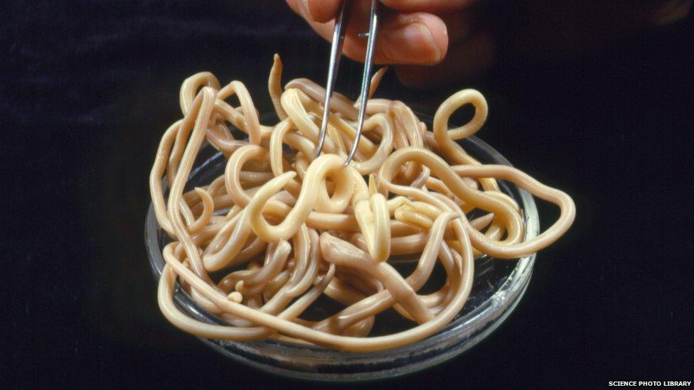 5 thực phẩm được ví như 