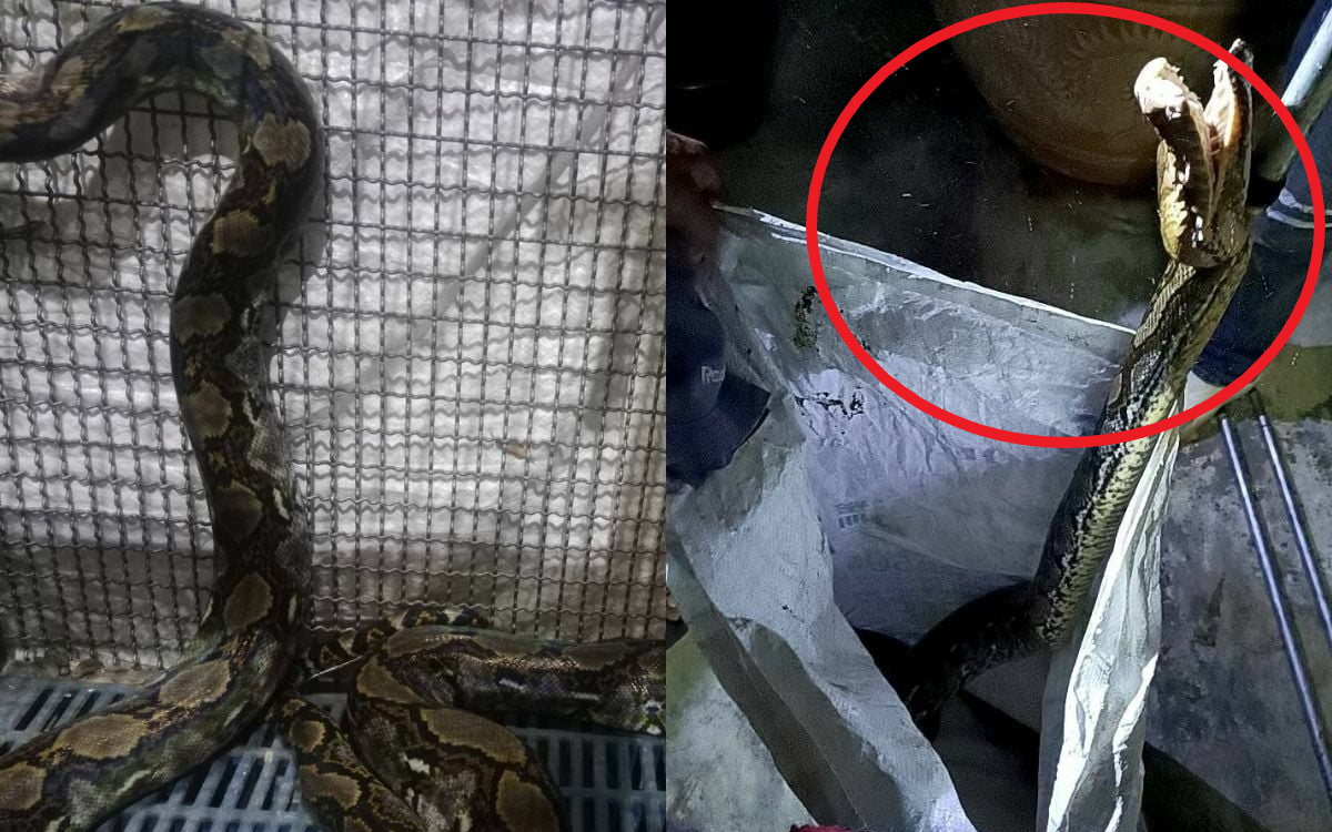 Người đ&agrave;n &ocirc;ng mua nh&agrave; gi&aacute; 7,8 tỷ đồng, sau 2 th&aacute;ng chủ nh&agrave; đột nhi&ecirc;n đ&ograve;i tăng gi&aacute; l&ecirc;n 8 tỷ đồng: &ldquo;Anh kh&ocirc;ng đồng &yacute; th&igrave; ch&uacute;ng ta hủy hợp đồng&rdquo; - Ảnh 2.