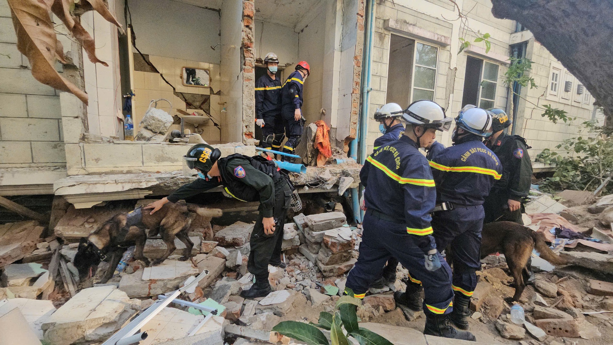 VIDEO: Nhiệm vụ đặc biệt của bộ đôi cảnh khuyển trong đoàn cứu hộ Việt Nam tại Myanmar- Ảnh 1.