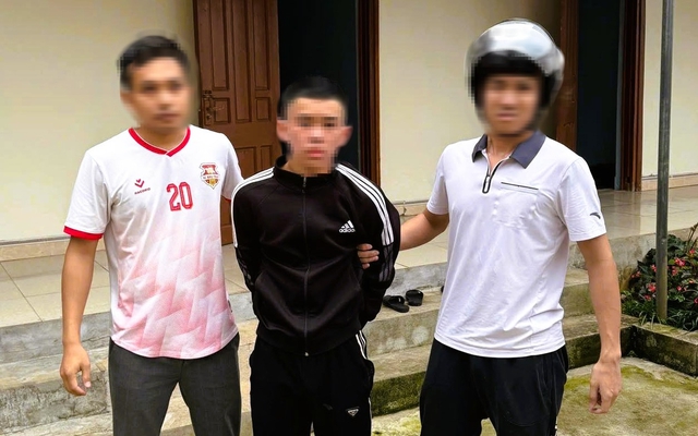 Con trai sát hại mẹ đẻ để lấy tiền đi mua thuốc tự tử - Ảnh 2.