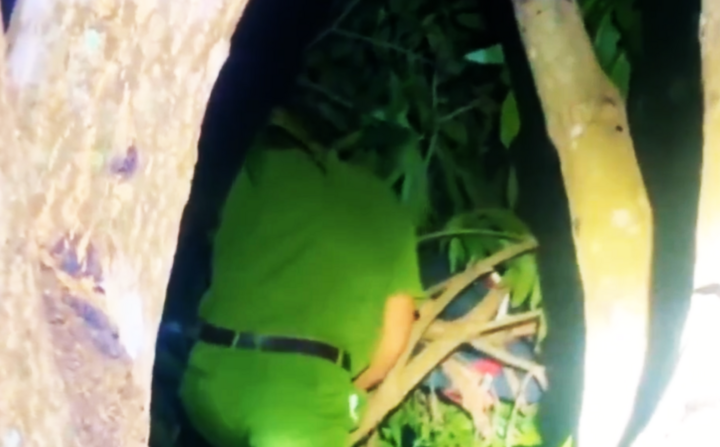 Đắk Lắk: Bé trai ngủ quên trên cây xòai 6m khiến cả làng hoảng hốt tìm kiếm - Ảnh 1.