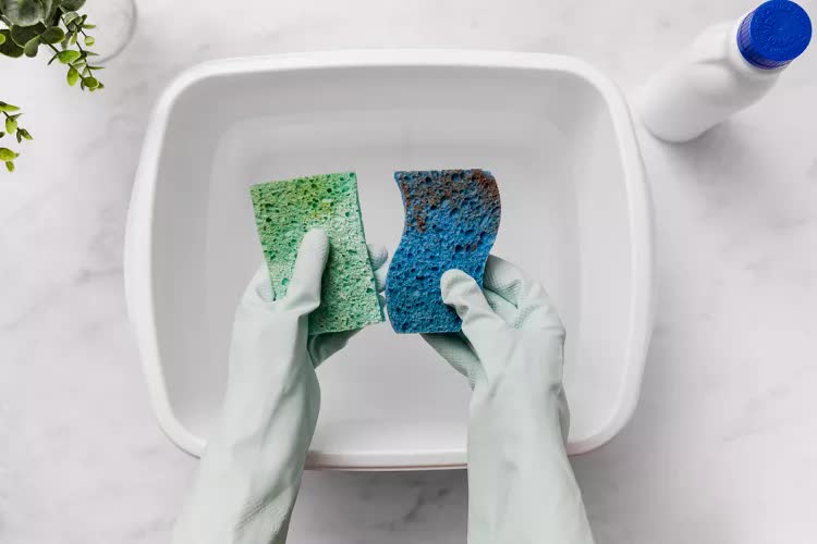 Ch&uacute;ng ta d&ugrave;ng mớ rửa b&aacute;t để rửa b&aacute;t, vậy lấy g&igrave; để rửa c&aacute;i mớ rửa b&aacute;t b&acirc;y giờ, khi mỗi centimet vu&ocirc;ng tr&ecirc;n đ&oacute; c&oacute; tới 54 tỷ vi khuẩn?- Ảnh 5.