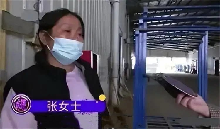 Cặp vợ chồng chi 6,1 tỷ đồng mua 493 tấn tỏi đem gửi kho lạnh, 1 năm sau đến lấy th&igrave; kh&ocirc;ng c&ograve;n 1kg n&agrave;o, chủ kho lạnh khẳng định: &ldquo;Kh&ocirc;ng li&ecirc;n quan n&ecirc;n kh&ocirc;ng bồi thường&rdquo;- Ảnh 1.