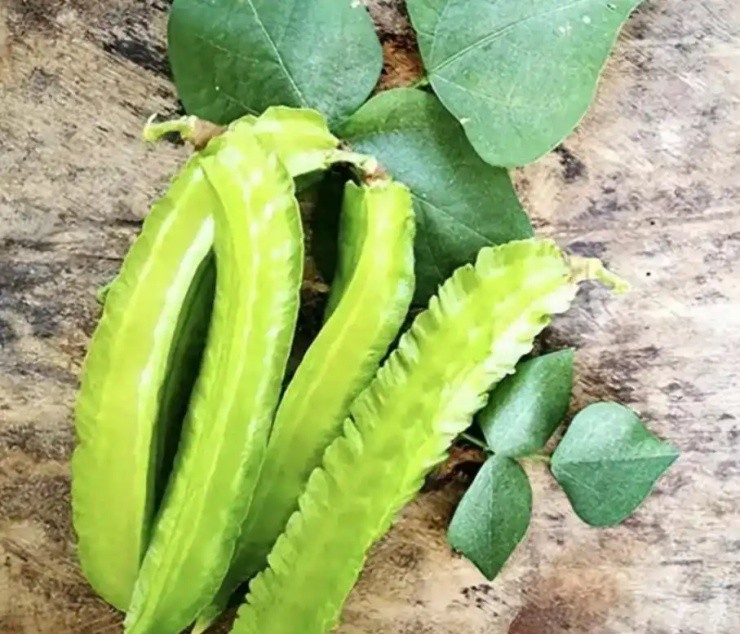 - Ảnh 4. - Ảnh 4.