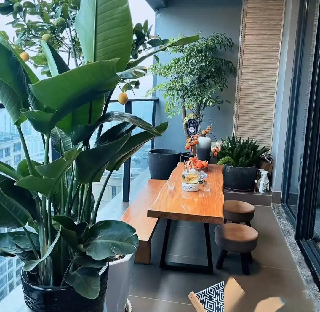 Bố t&ocirc;i ki&ecirc;n quyết biến ban c&ocirc;ng th&agrave;nh ph&ograve;ng tr&agrave;, cả nh&agrave; phản đối kịch liệt nhưng kết quả khiến t&ocirc;i tự h&agrave;o cả đời- Ảnh 5.