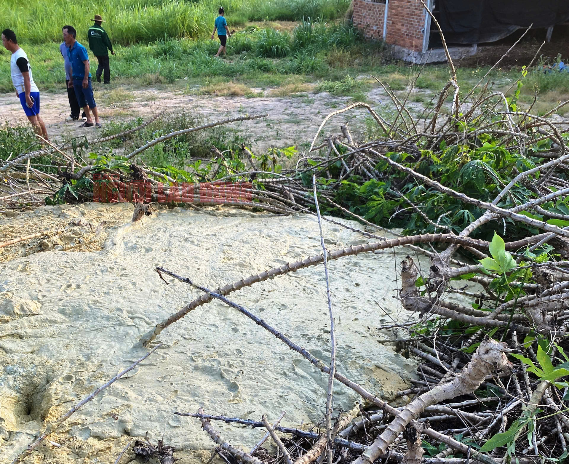 Hiện tượng nứt đất và bùn trào ở Phú Yên gây lo lắng - Ảnh 2.