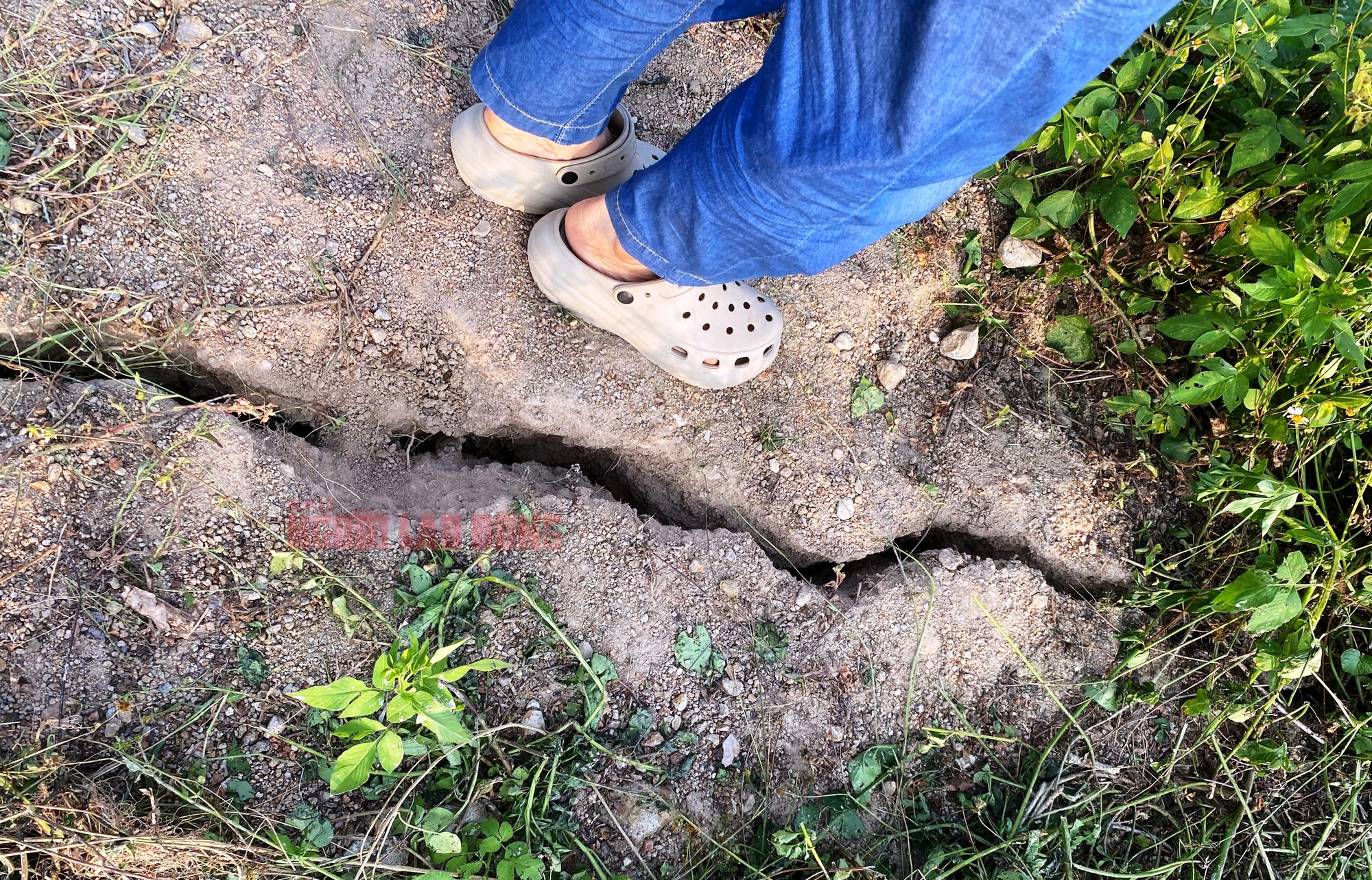 Hiện tượng nứt đất và bùn trào ở Phú Yên gây lo lắng - Ảnh 3.