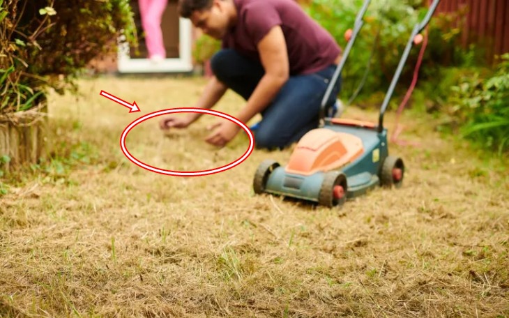 Trong gần 500 năm, Trương Tam Phong luôn phải né tránh hoàng đế các thời: Vì bí mật ai cũng muốn sở hữu - Ảnh 4.